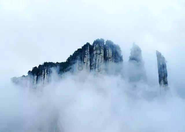 远洋集团：7只公司债和3只资产证券化产品展期方案通过，续存金额共182.66亿元