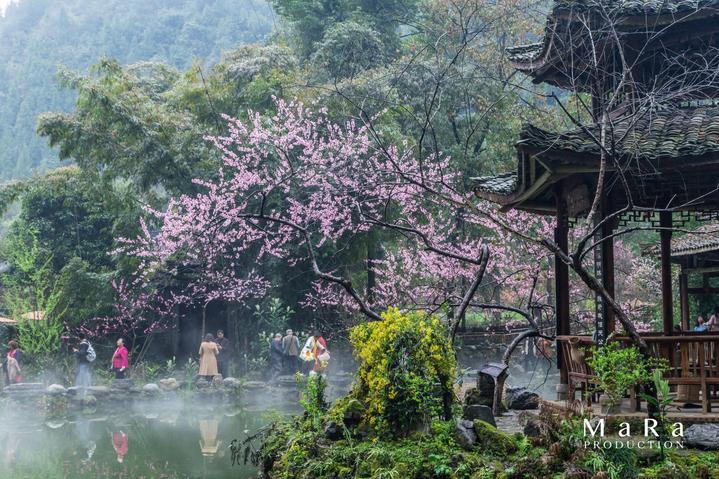 诚心“承意” 透明便利——承德海关着力打造“承意办”政务公开品牌